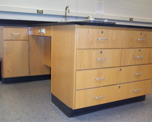Wood Lab Cabinets