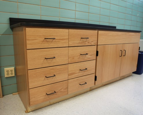 Wood Lab Cabinets
