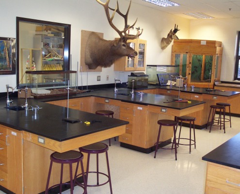 Wood Lab Cabinets